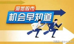 大爆料最新消息新闻网站,最新独家新闻揭秘，震撼来袭！