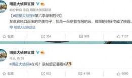 洋迪最新爆料微博视频,揭秘微博视频背后的惊人真相！